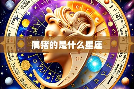 属猪的是什么星座
