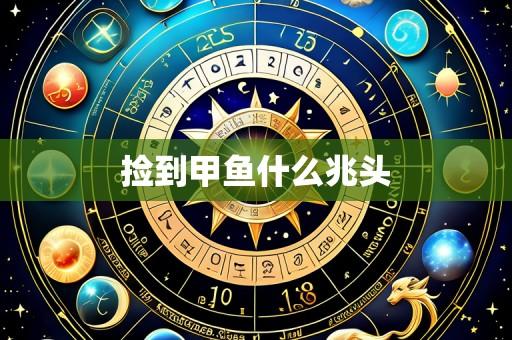 捡到甲鱼什么兆头