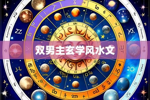 双男主玄学风水文