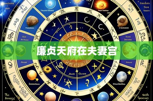 廉贞天府在夫妻宫