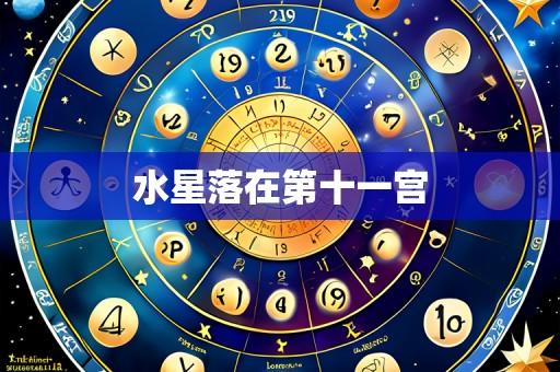 水星落在第十一宫