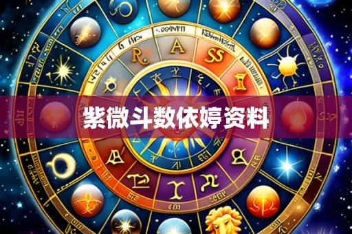 紫微斗数依婷资料