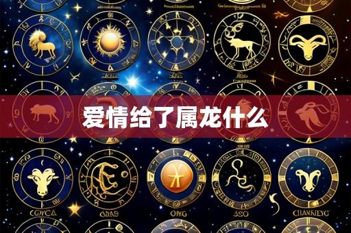 爱情给了属龙什么
