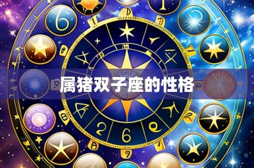属猪双子座的性格