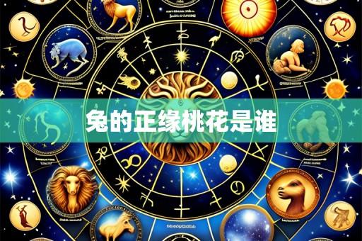 兔的正缘桃花是谁