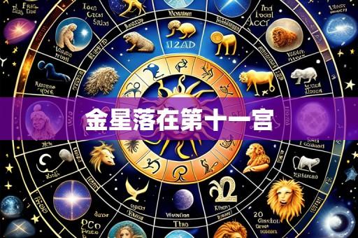 金星落在第十一宫