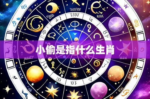 小偷是指什么生肖