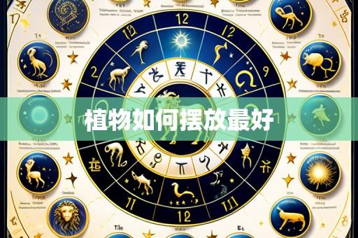 植物如何摆放最好