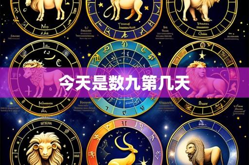 今天是数九第几天