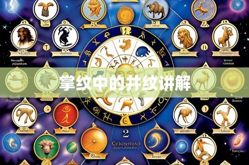 掌纹中的井纹讲解