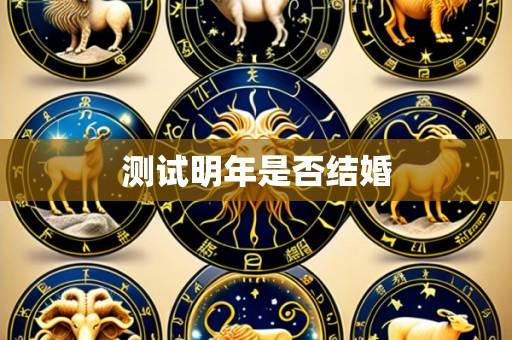 测试明年是否结婚