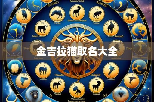 金吉拉猫取名大全