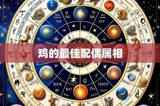 鸡的最佳配偶属相