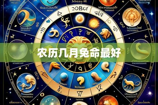 农历几月兔命最好