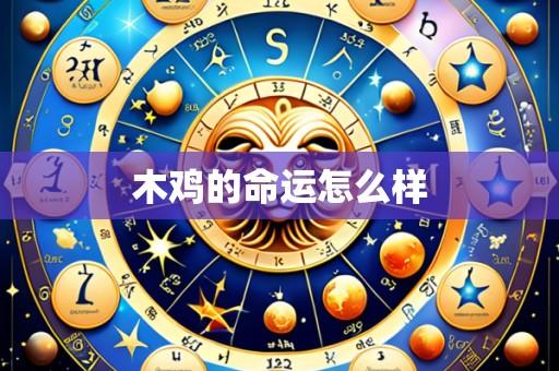 木鸡的命运怎么样