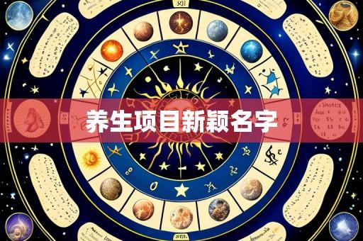 养生项目新颖名字