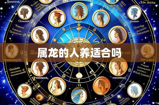 属龙的人养适合吗