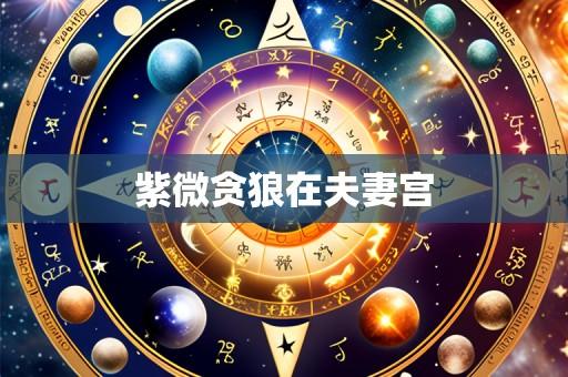 紫微贪狼在夫妻宫
