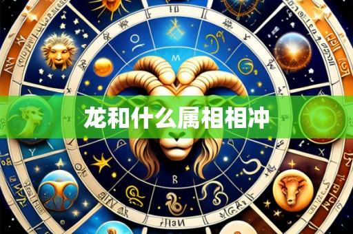 龙和什么属相相冲