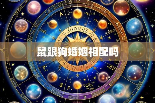鼠跟狗婚姻相配吗