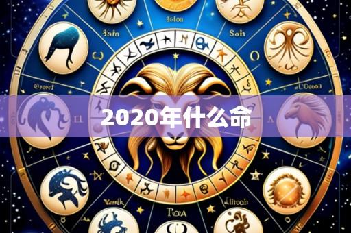 2020年什么命