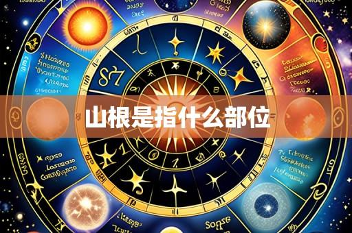 山根是指什么部位