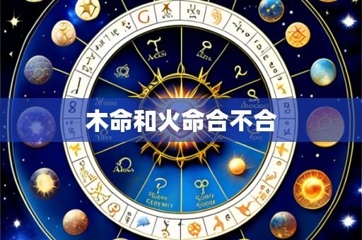 木命和火命合不合