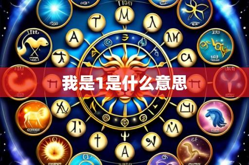 我是1是什么意思