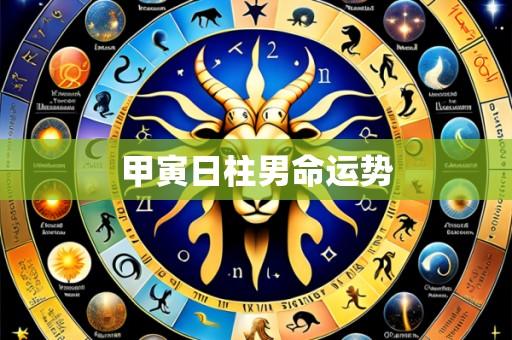 甲寅日柱男命运势