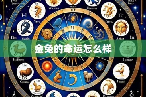 金兔的命运怎么样
