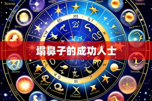 塌鼻子的成功人士