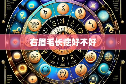 右眉毛长痣好不好