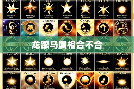 龙跟马属相合不合