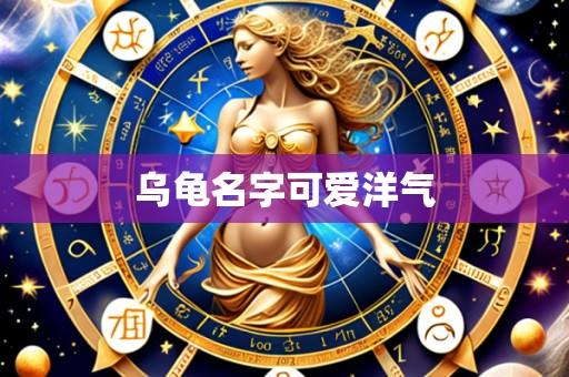 乌龟名字可爱洋气