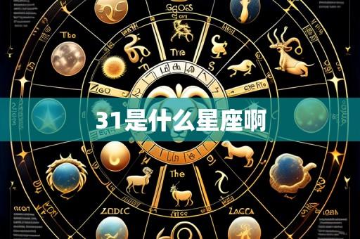 31是什么星座啊
