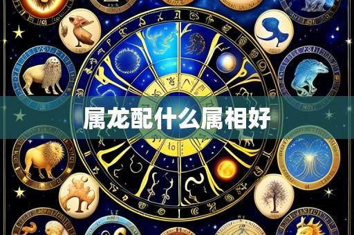 属龙配什么属相好