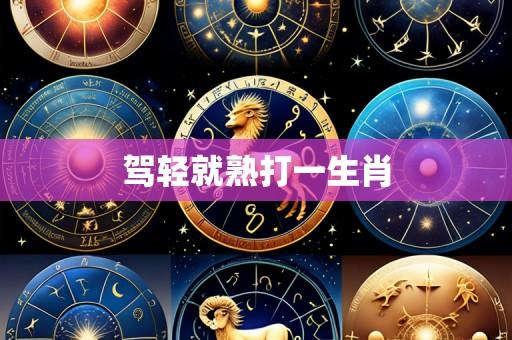 驾轻就熟打一生肖