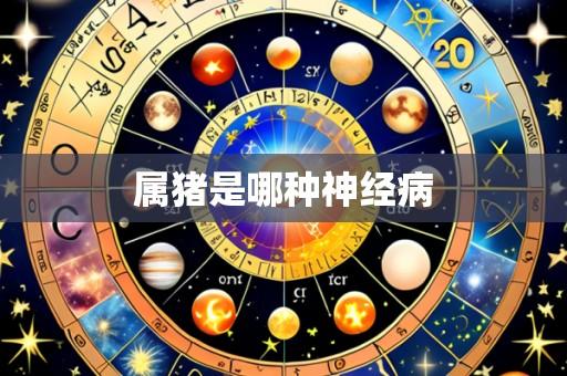 属猪是哪种神经病