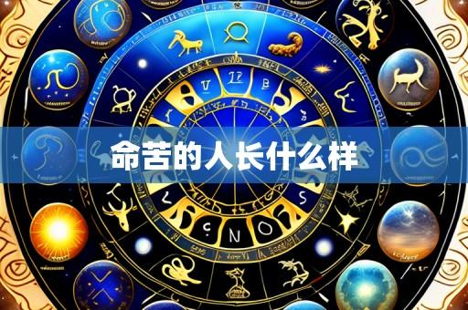 命苦的人长什么样