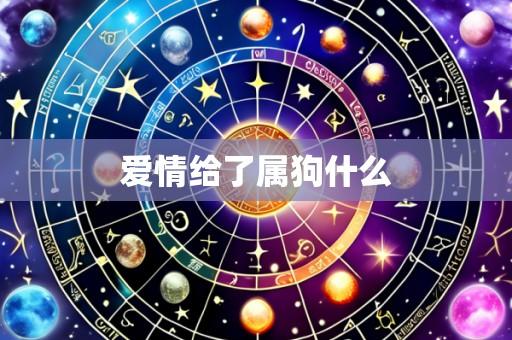 爱情给了属狗什么