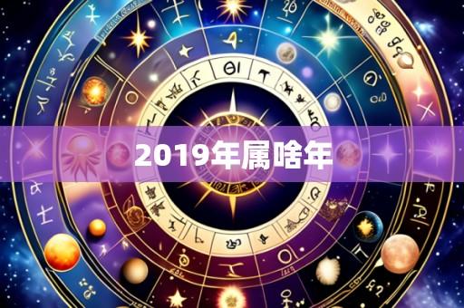 2019年属啥年