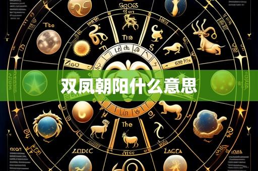 双凤朝阳什么意思
