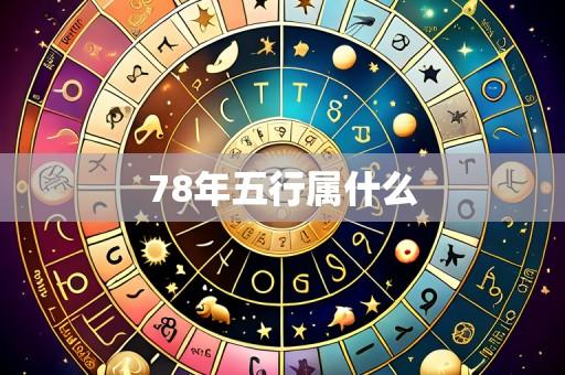78年五行属什么