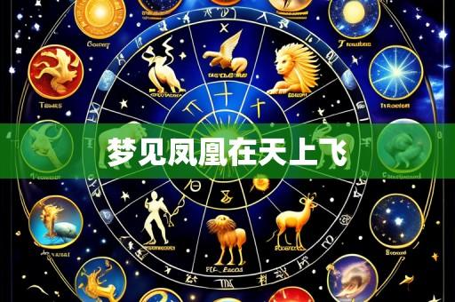 梦见凤凰在天上飞