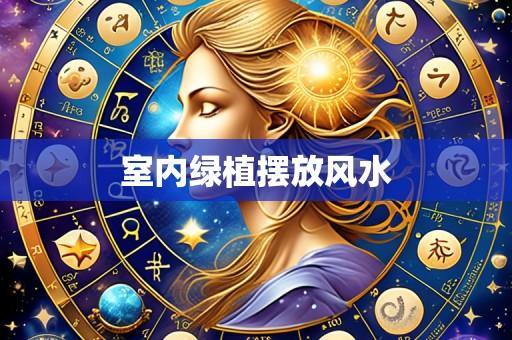 室内绿植摆放风水