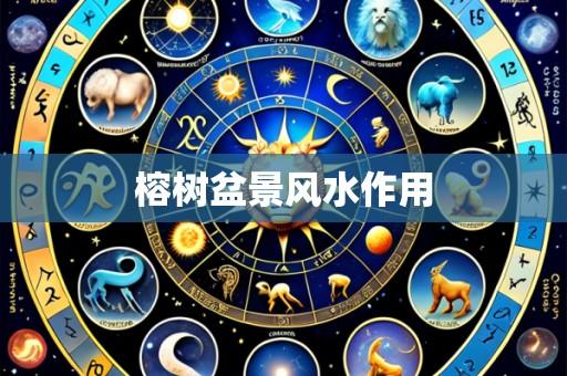 榕树盆景风水作用
