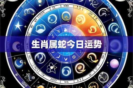 生肖属蛇今日运势