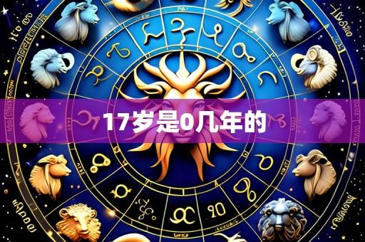 17岁是0几年的