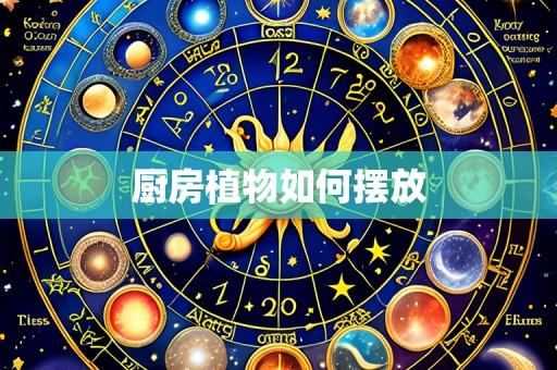 厨房植物如何摆放