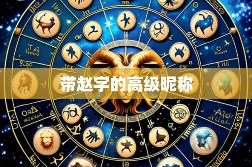 带赵字的高级昵称